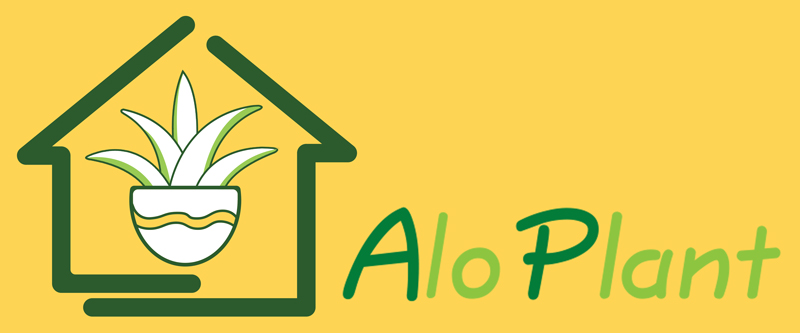 aloplant